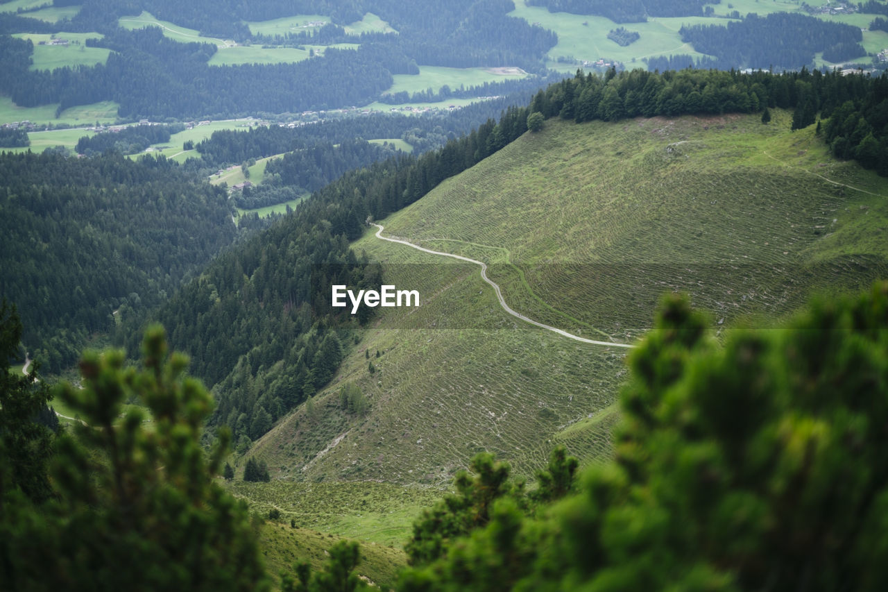 high angle view of trees and mountains