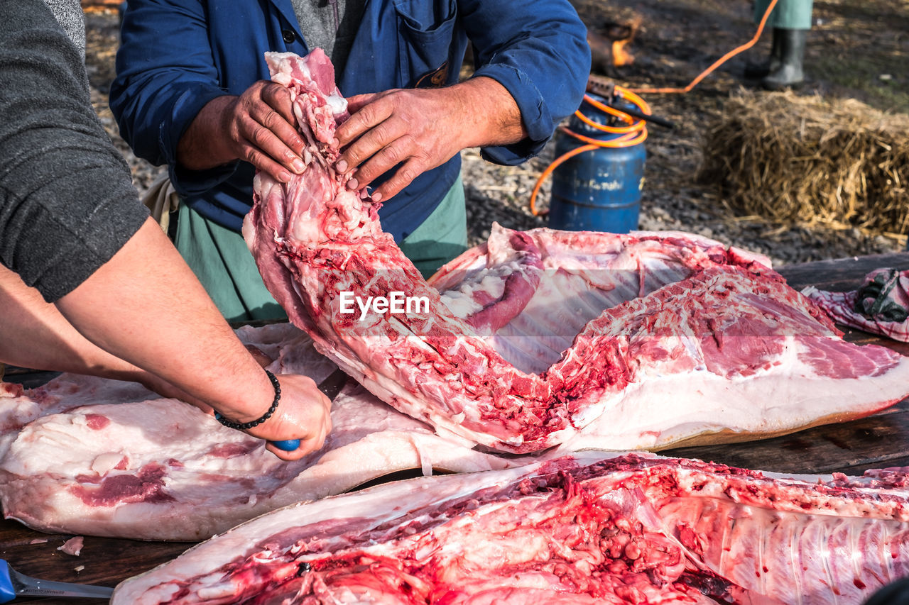 Butchers slaughtering a pig folowing the romanian tradition before christmas