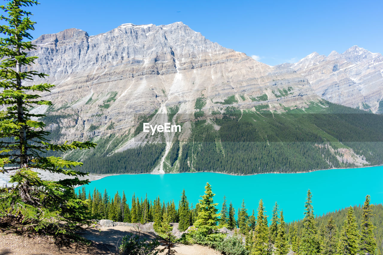 Magnificent turquoise colored water of glacier fed lake in the canadian rockies