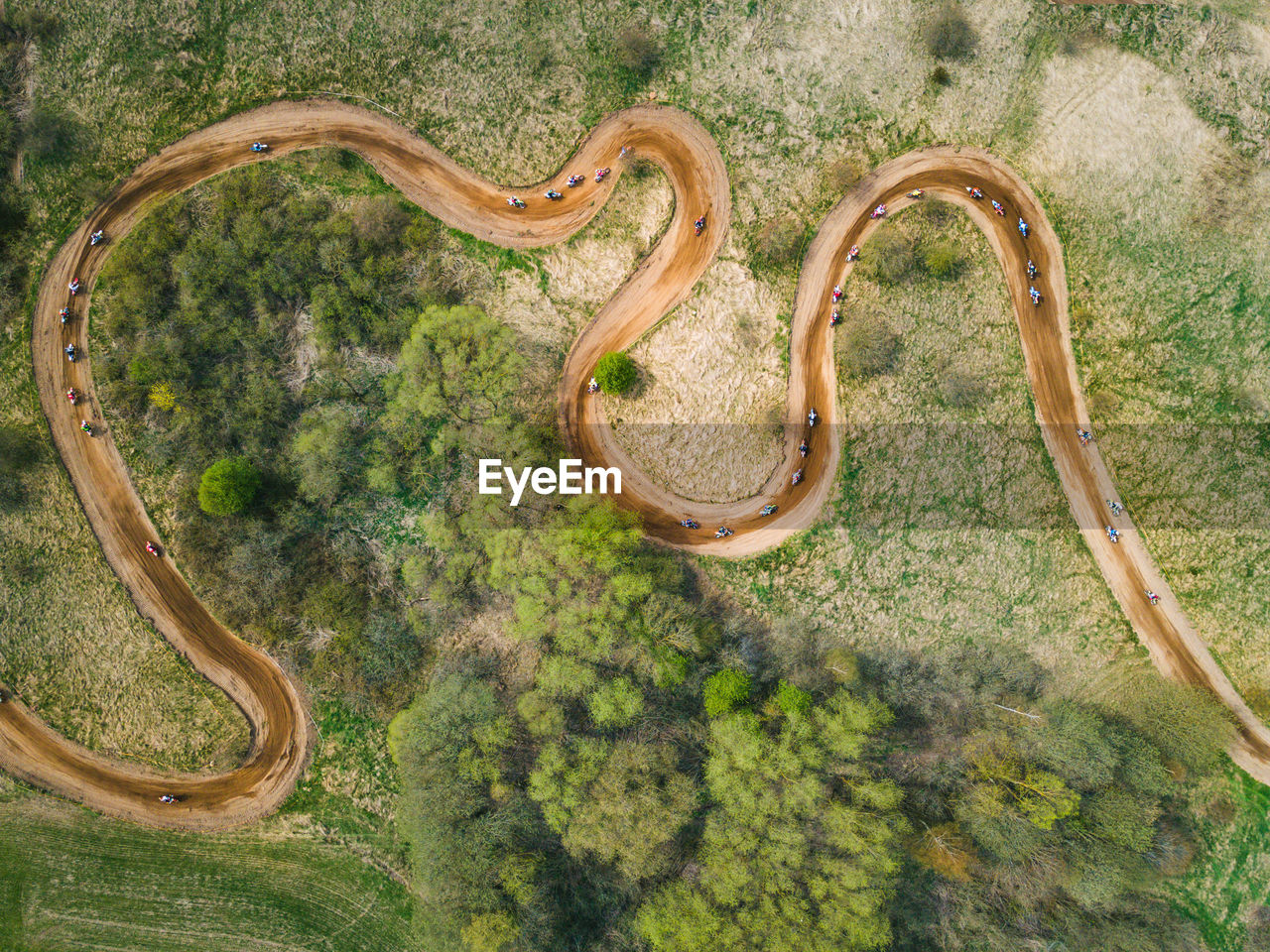 High angle view of lizard on land