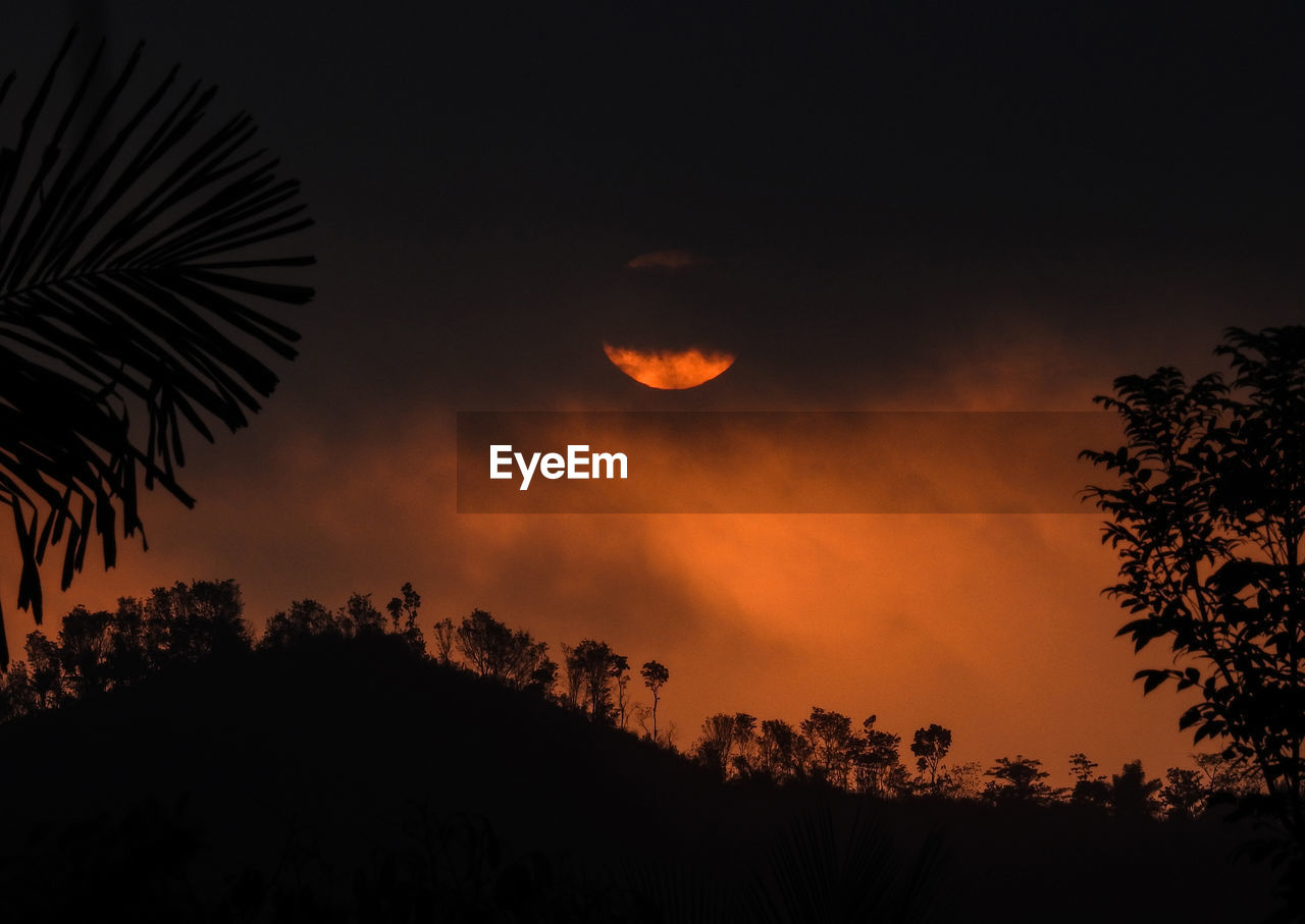 View of silhouette trees against sky at night