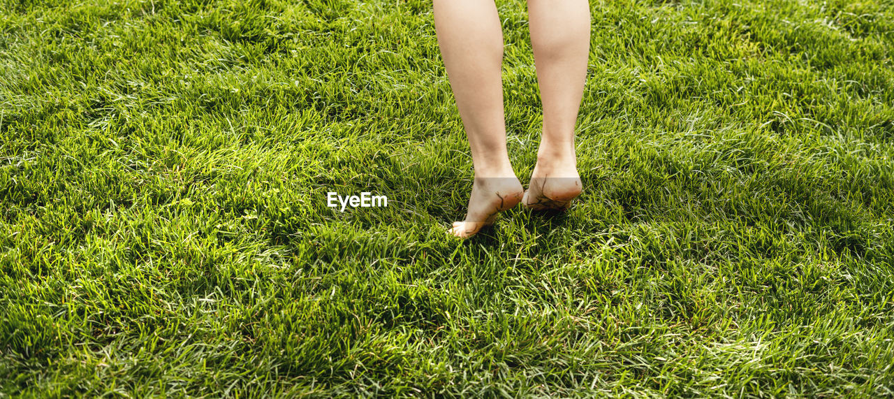 grass, green, lawn, low section, plant, human leg, meadow, one person, nature, day, leisure activity, women, lifestyles, land, standing, high angle view, field, limb, adult, barefoot, human foot, human limb, outdoors, growth, sunlight, shoe, flower, soil