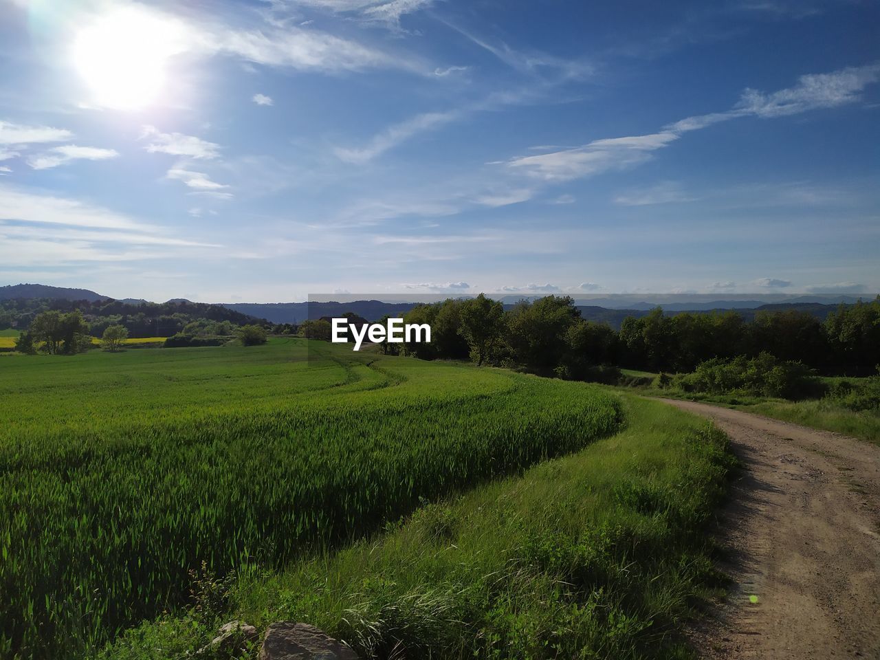 SCENIC VIEW OF FARM FIELD AGAINST SKY