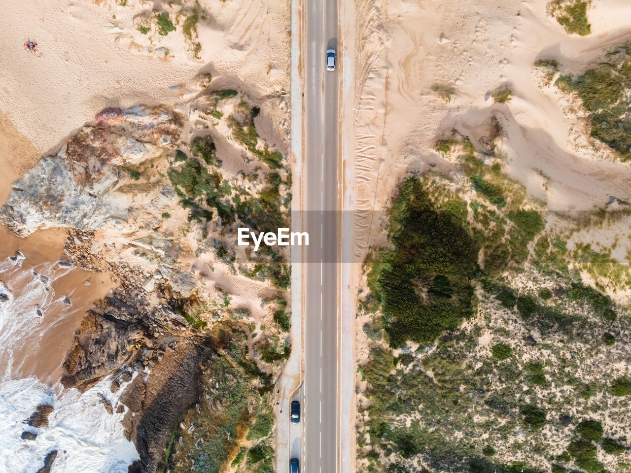 HIGH ANGLE VIEW OF TREES ON A DESERT