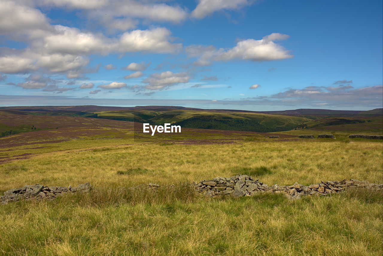 SCENIC VIEW OF LANDSCAPE