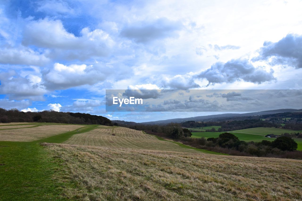 Scenic view of agricultural field against sky