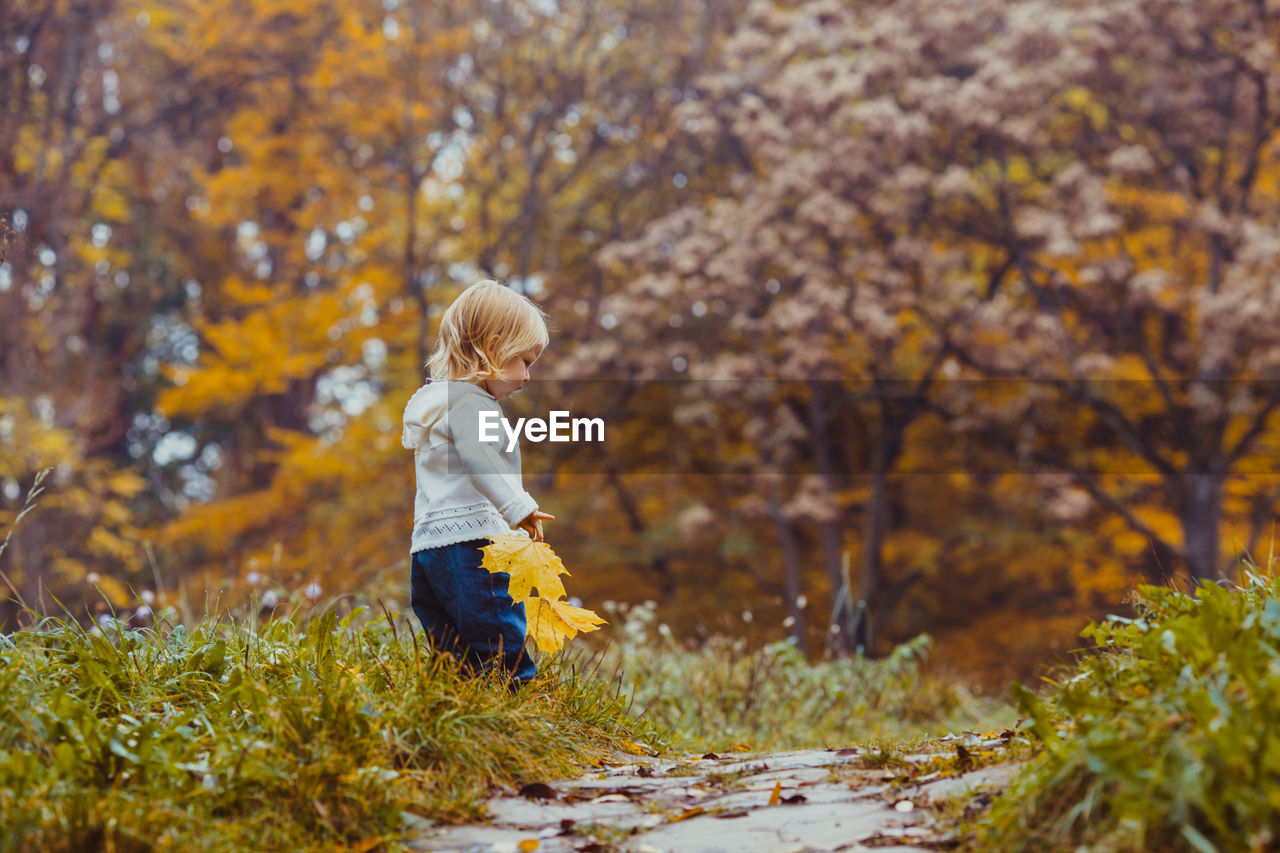 Side view of a boy in autumn