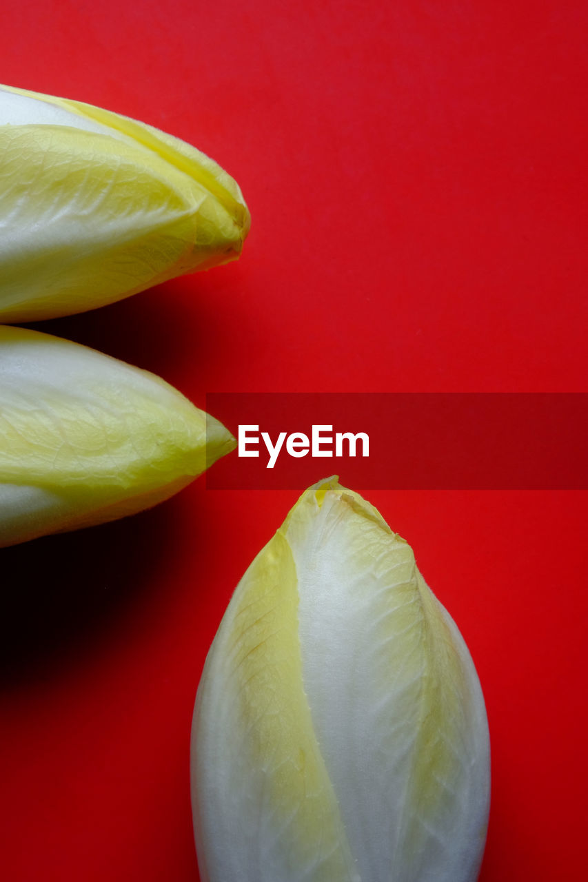 CLOSE-UP OF BANANAS