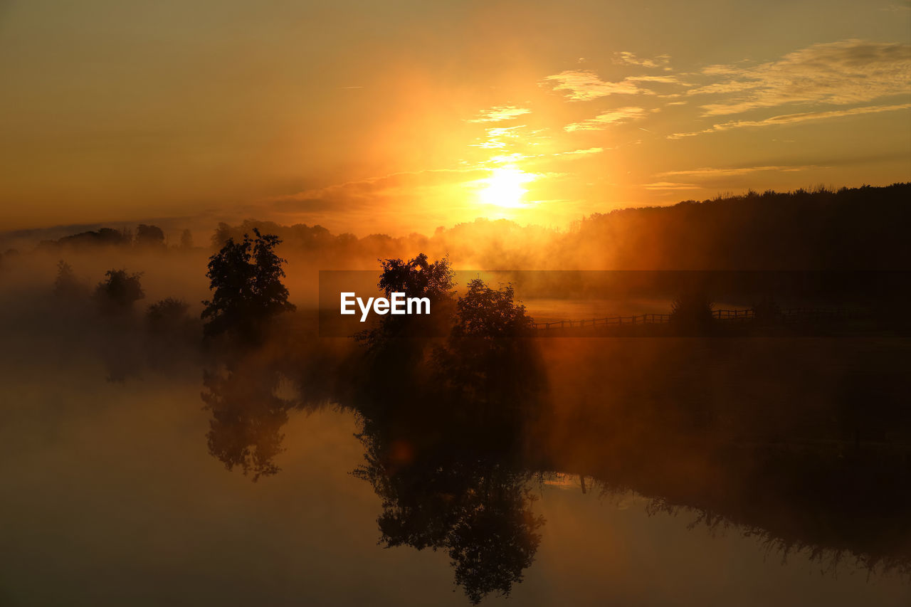 SCENIC VIEW OF SILHOUETTE TREES AGAINST ORANGE SKY DURING SUNSET