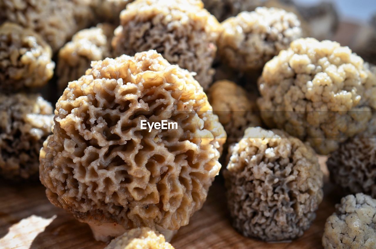 Close-up of morel mushrooms on table