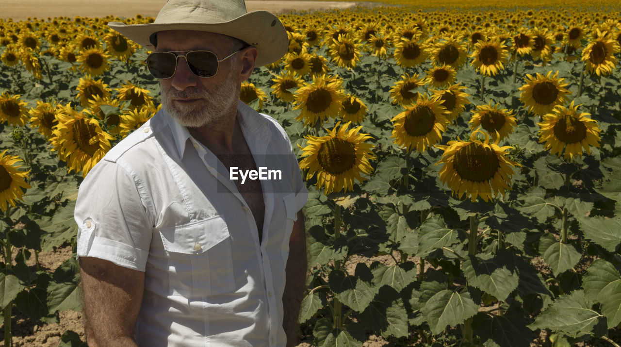 Adult man in cowboy hat and sunglasses in sunflowers fields. castilla y leon, spain