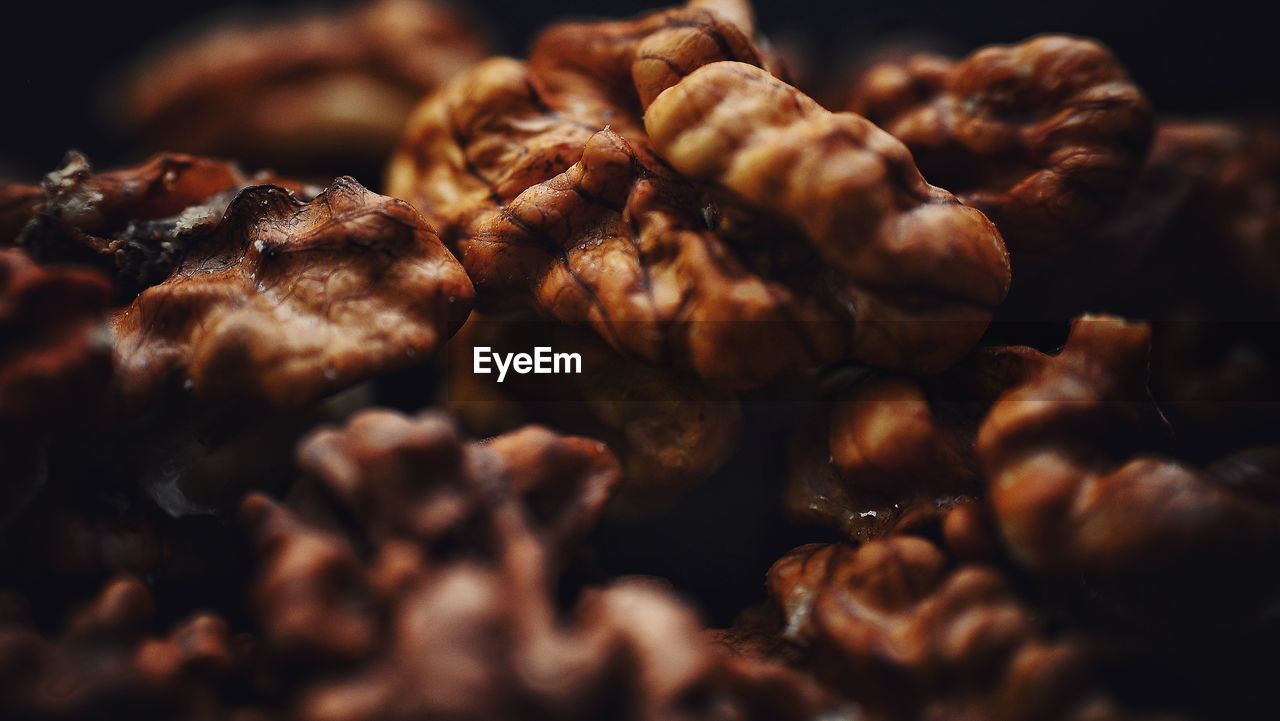 Closeup of a walnut
