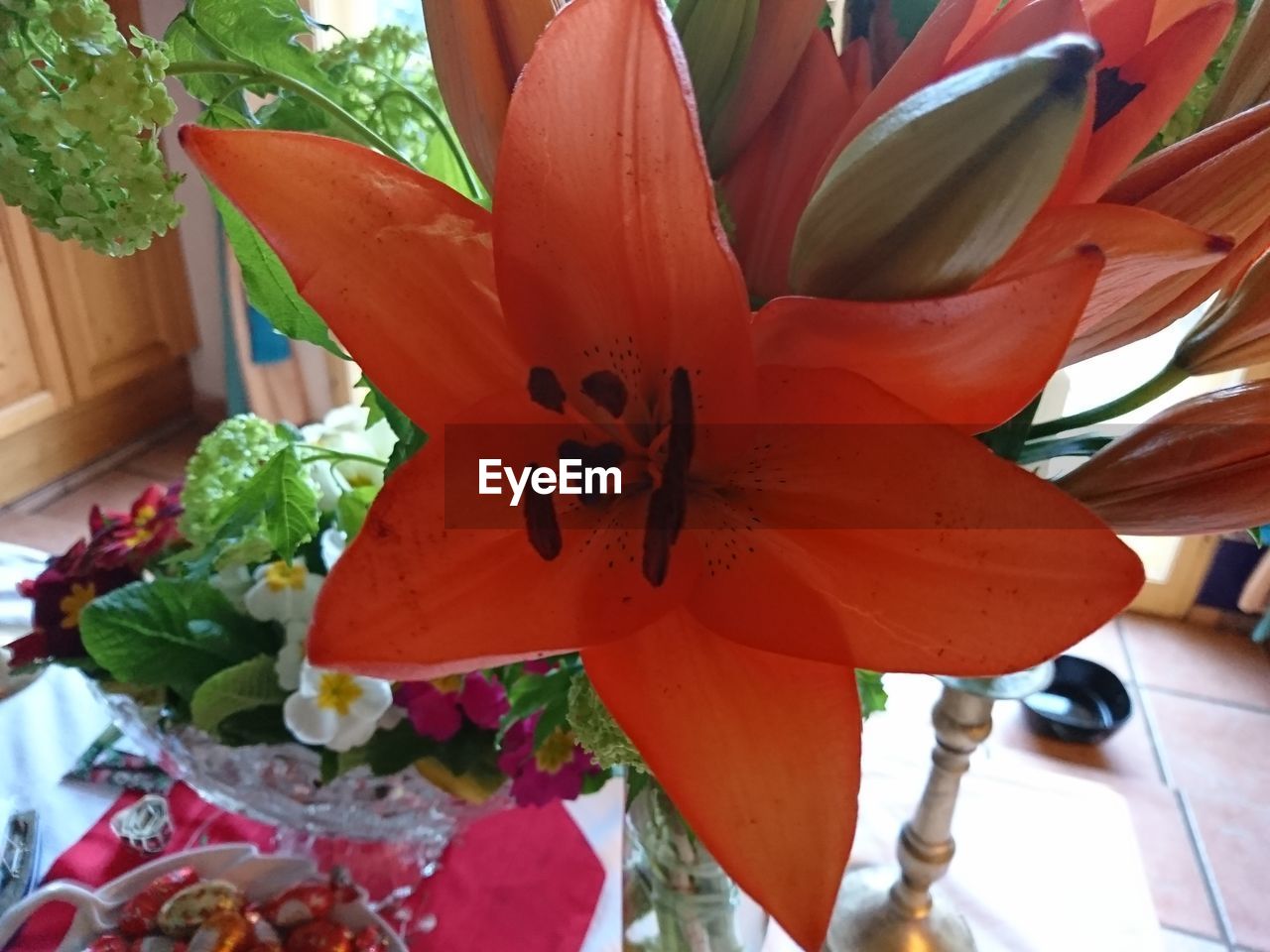 CLOSE-UP OF RED ROSE FLOWER POT