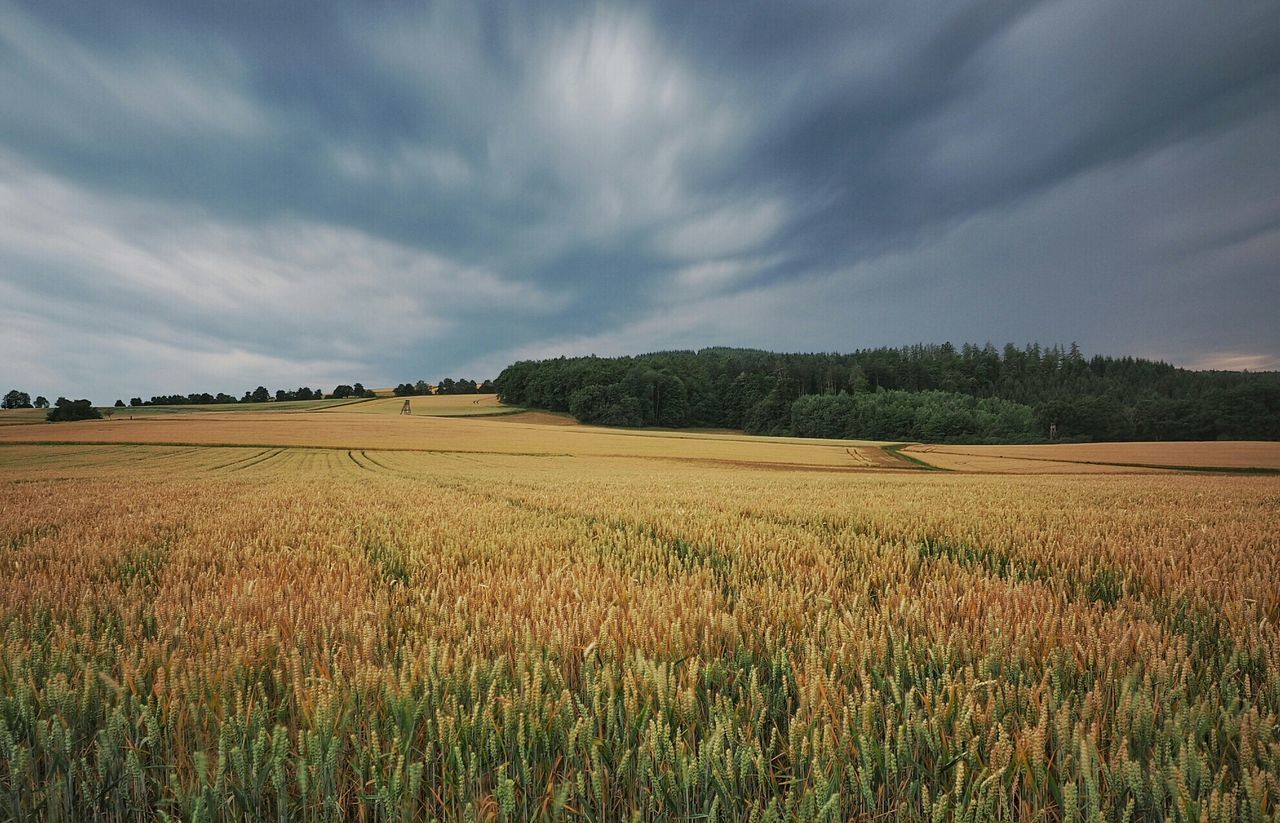 View of rural landscape