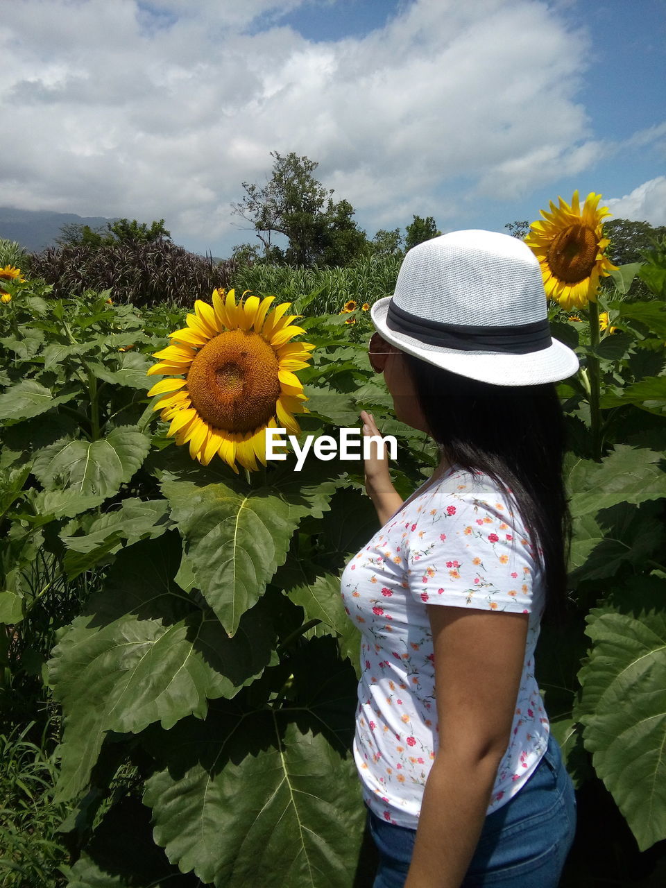 Side view of woman standing by sunflower against sky