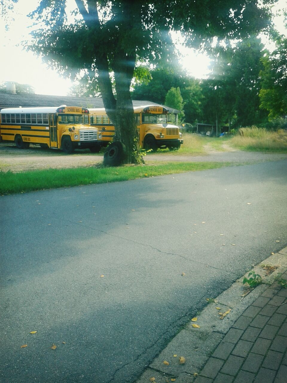 VIEW OF ROAD ALONG TREES