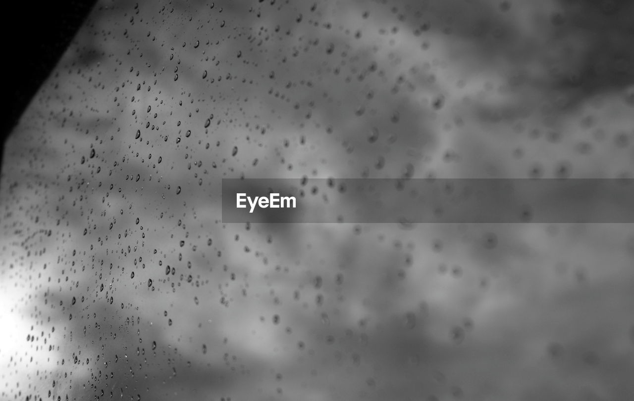 LOW ANGLE VIEW OF BIRDS FLYING IN SKY