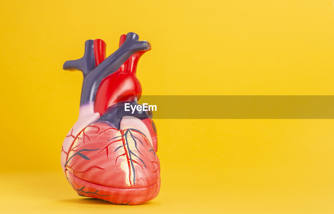 Close-up of heart model against yellow background