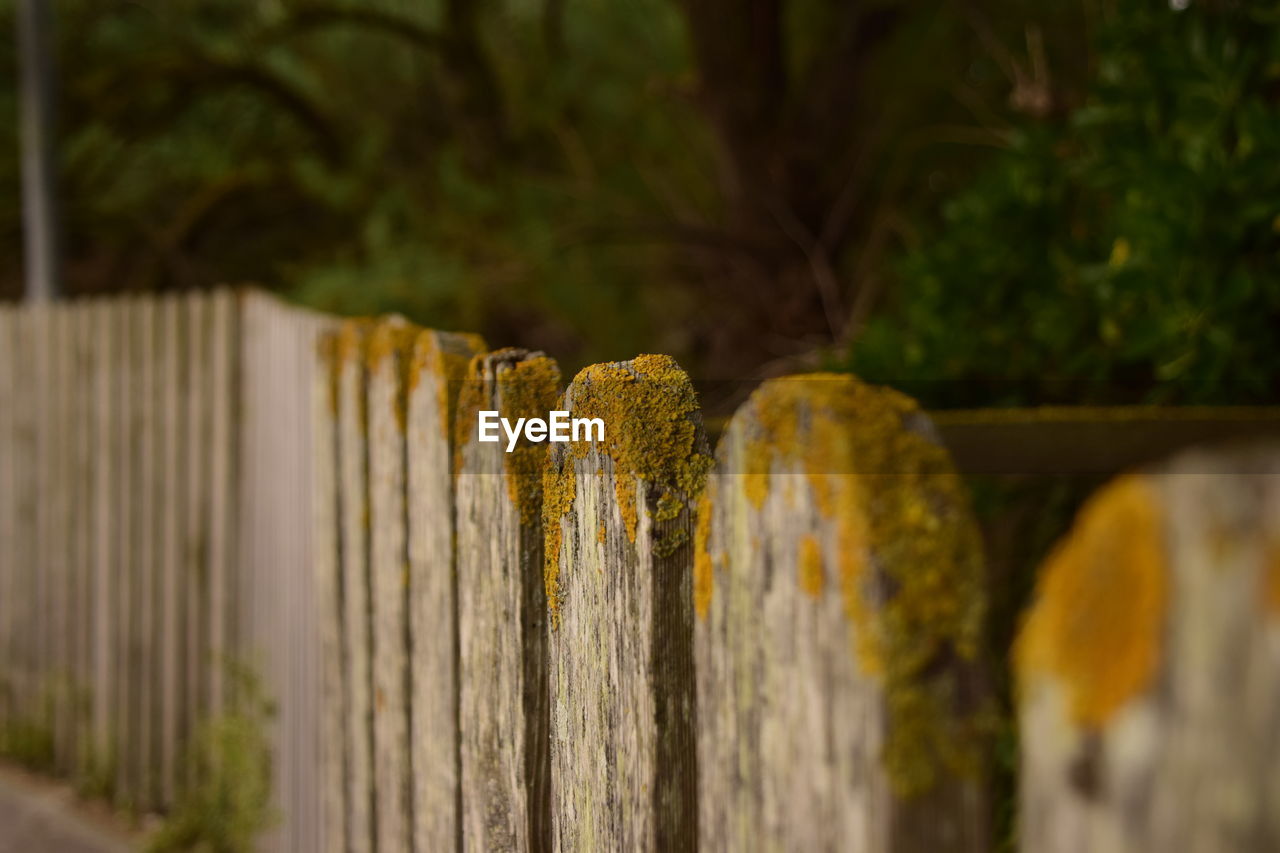 CLOSE-UP OF WOODEN POST ON FENCE