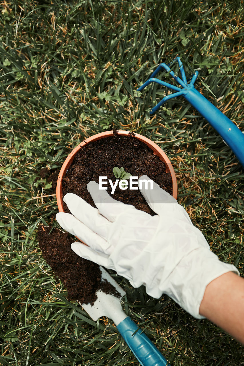 Cropped hand with potted plant in yard