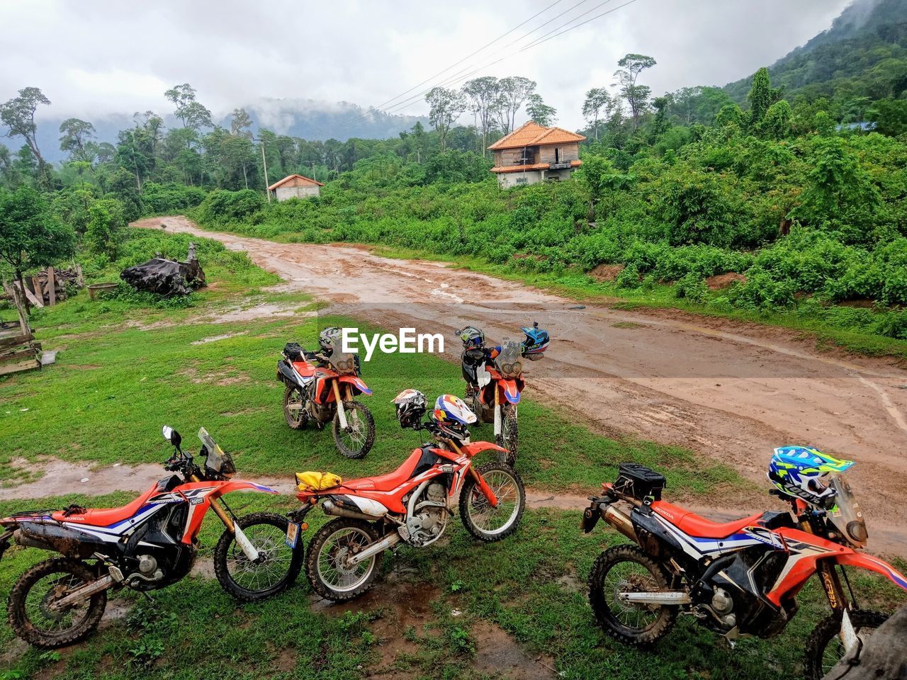 BICYCLES ON STREET AMIDST TREES