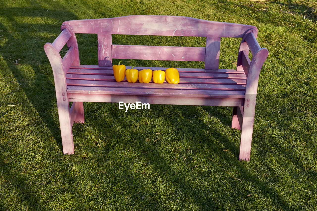 High angle view of yellow bell peppers on bench