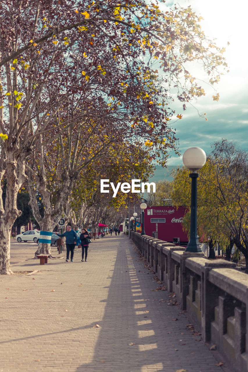 PEOPLE WALKING ON STREET AMIDST TREES