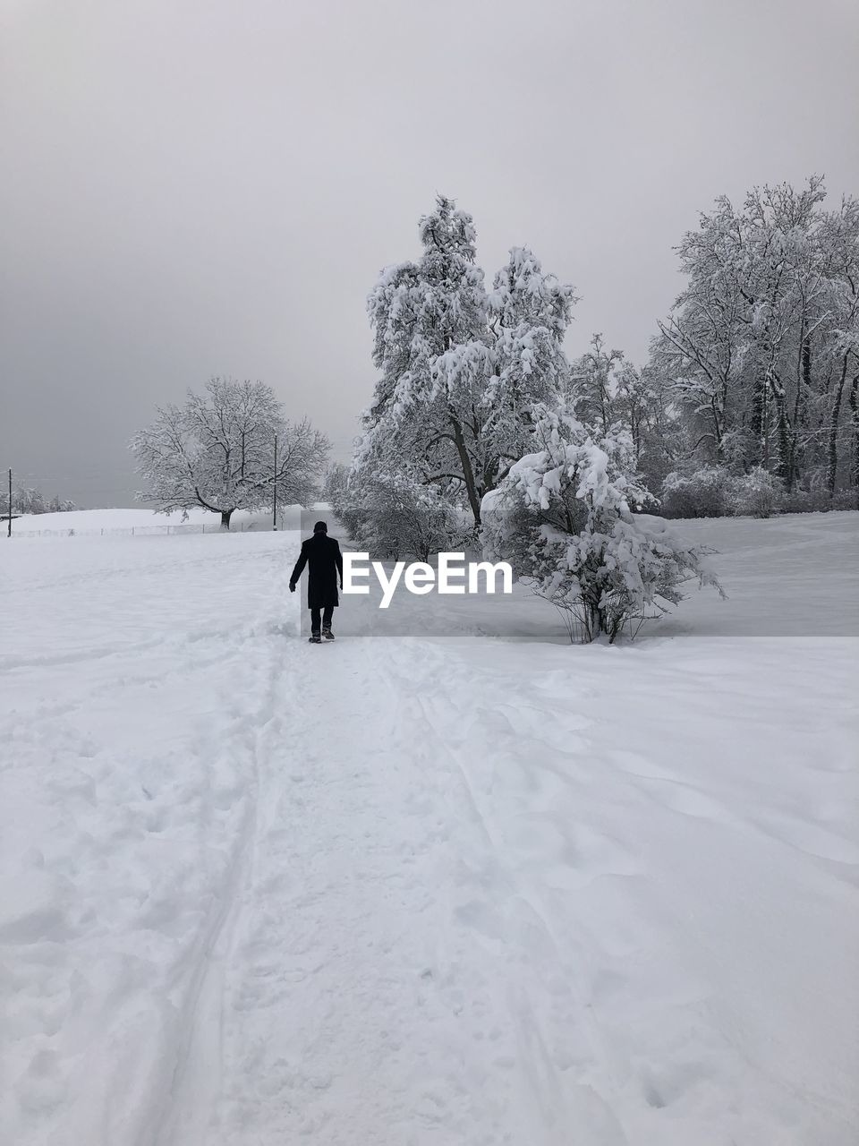 Rear view of person on snow covered field against sky