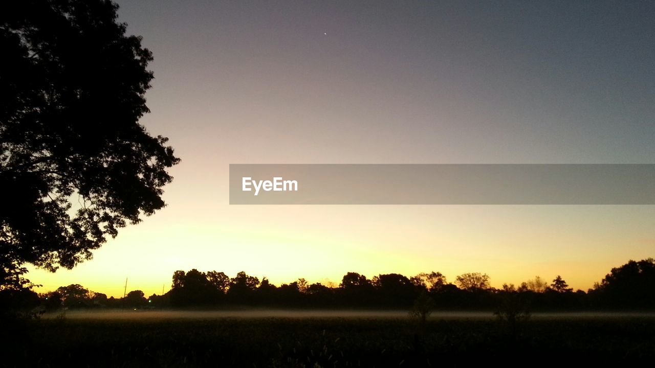 Silhouette tree on field against sky during sunset