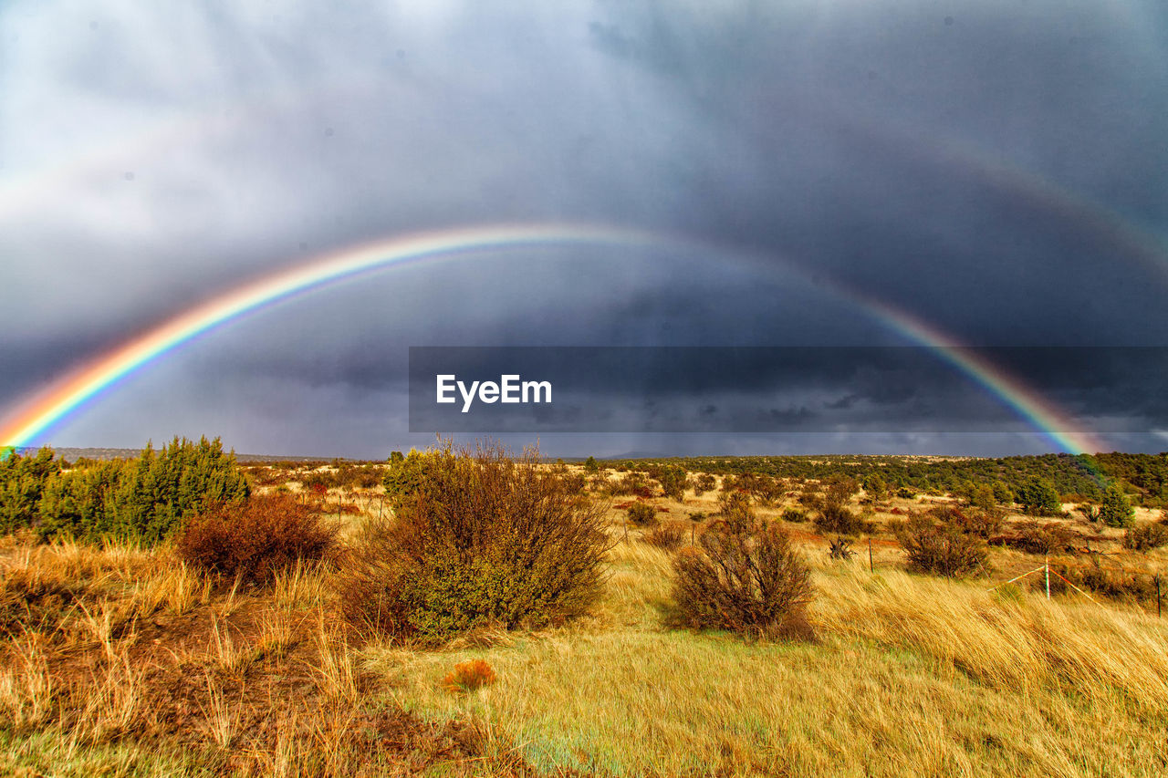 SCENIC VIEW OF RAINBOW AGAINST SKY