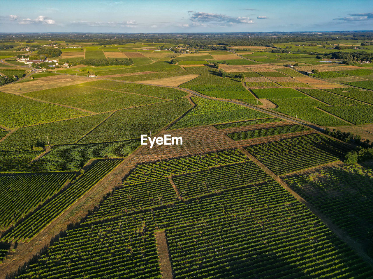 aerial view of agricultural field