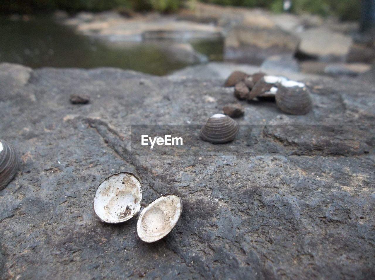 Close-up of pebbles on sand