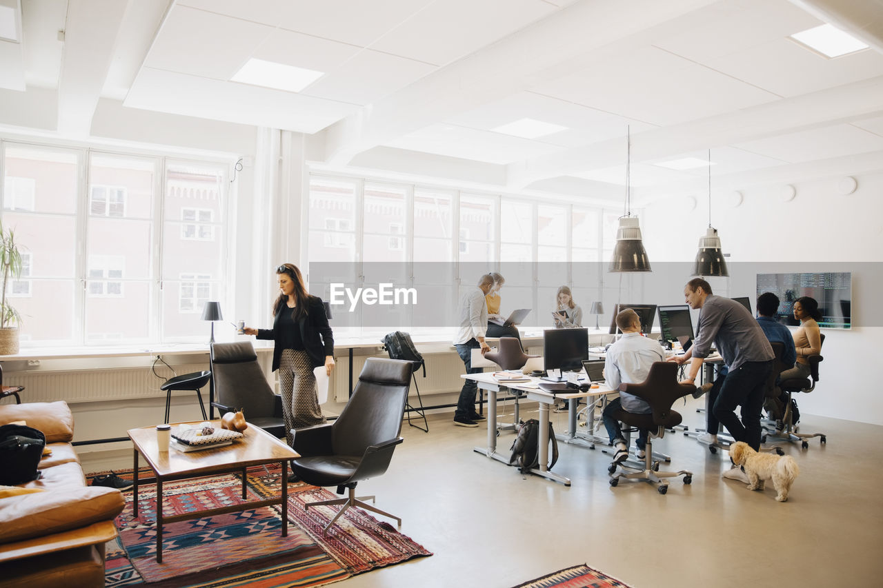 Male and female it engineers working in creative office