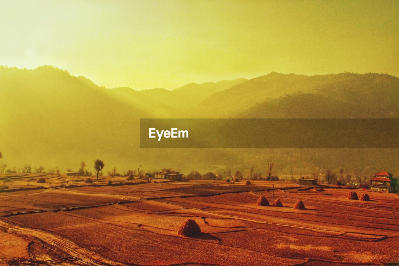 Scenic view of field against sky