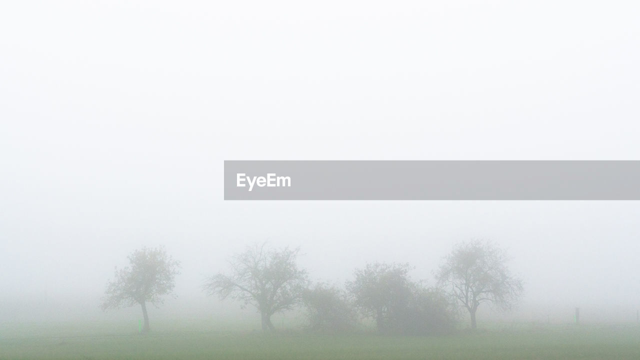 Scenic view of bare trees on field against sky during foggy weather