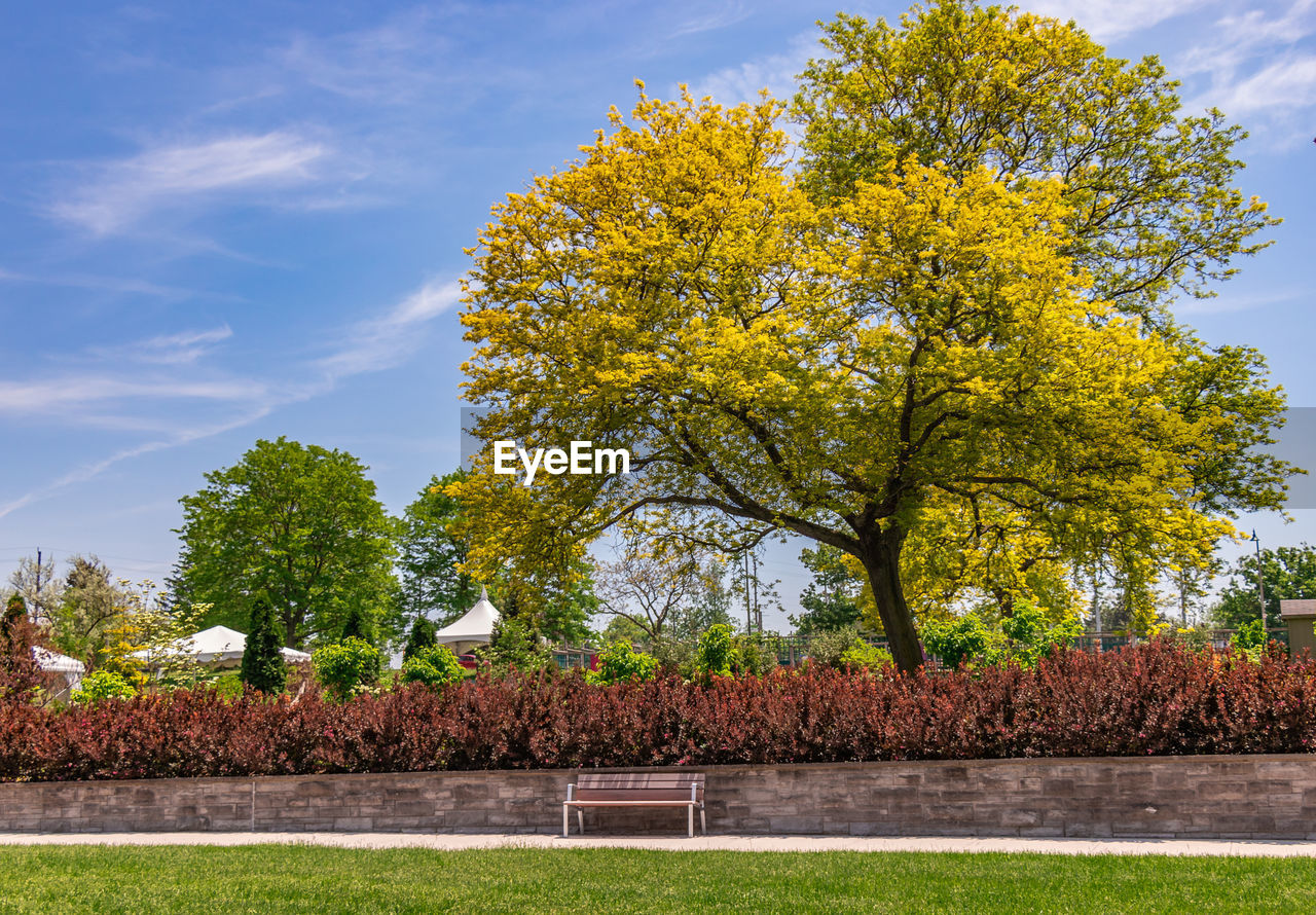 Trees in park against sky during autumn