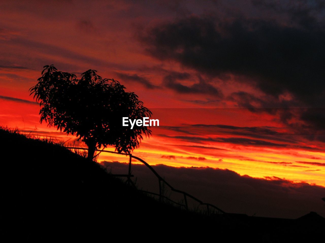 SILHOUETTE TREES ON LANDSCAPE AGAINST DRAMATIC SKY DURING SUNSET