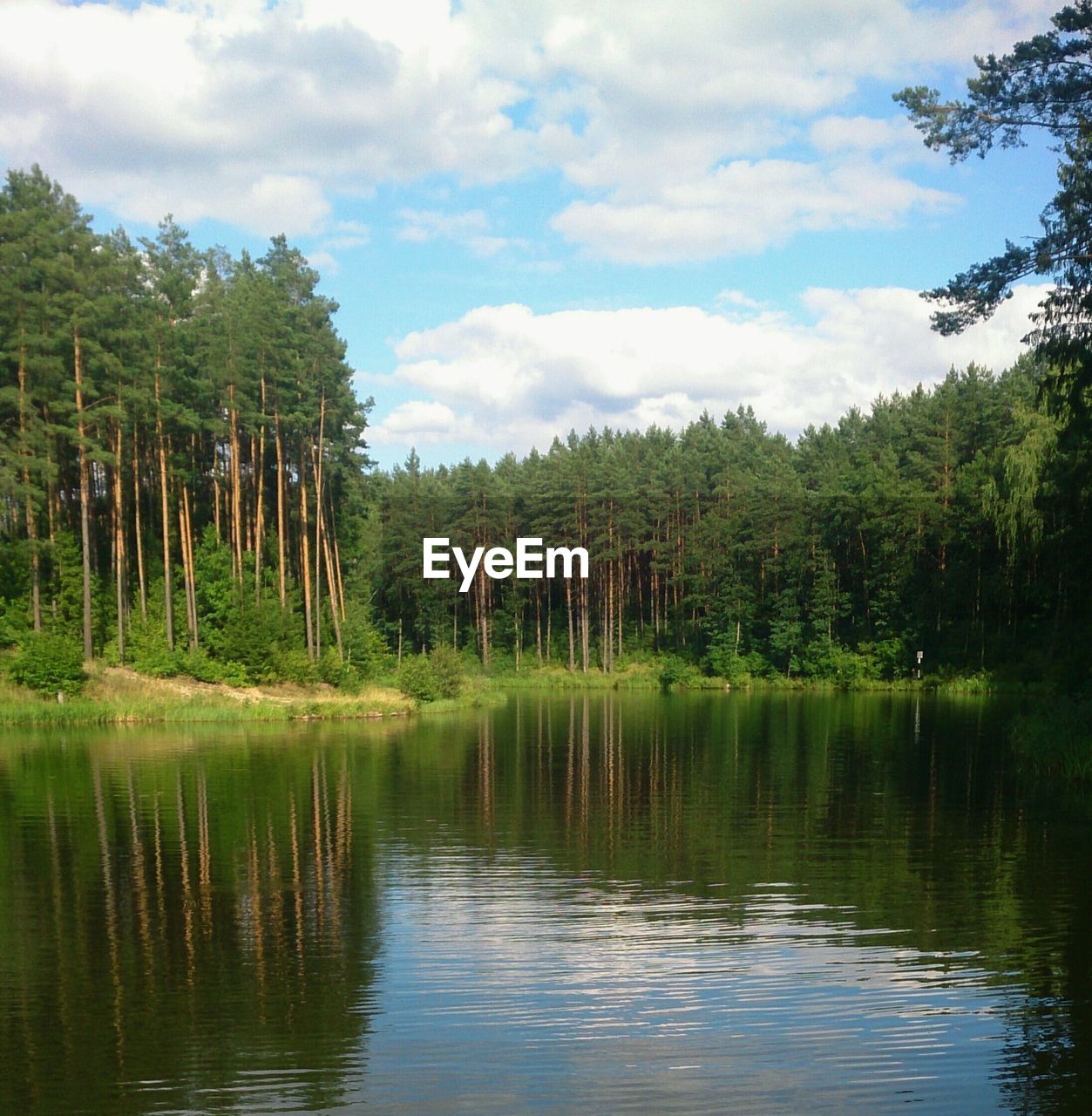 Reflection of trees in lake against cloudy sky