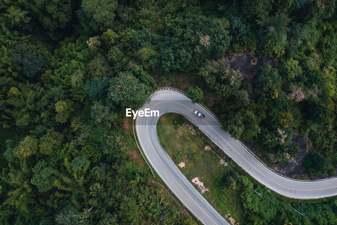 High angle view of road amidst trees