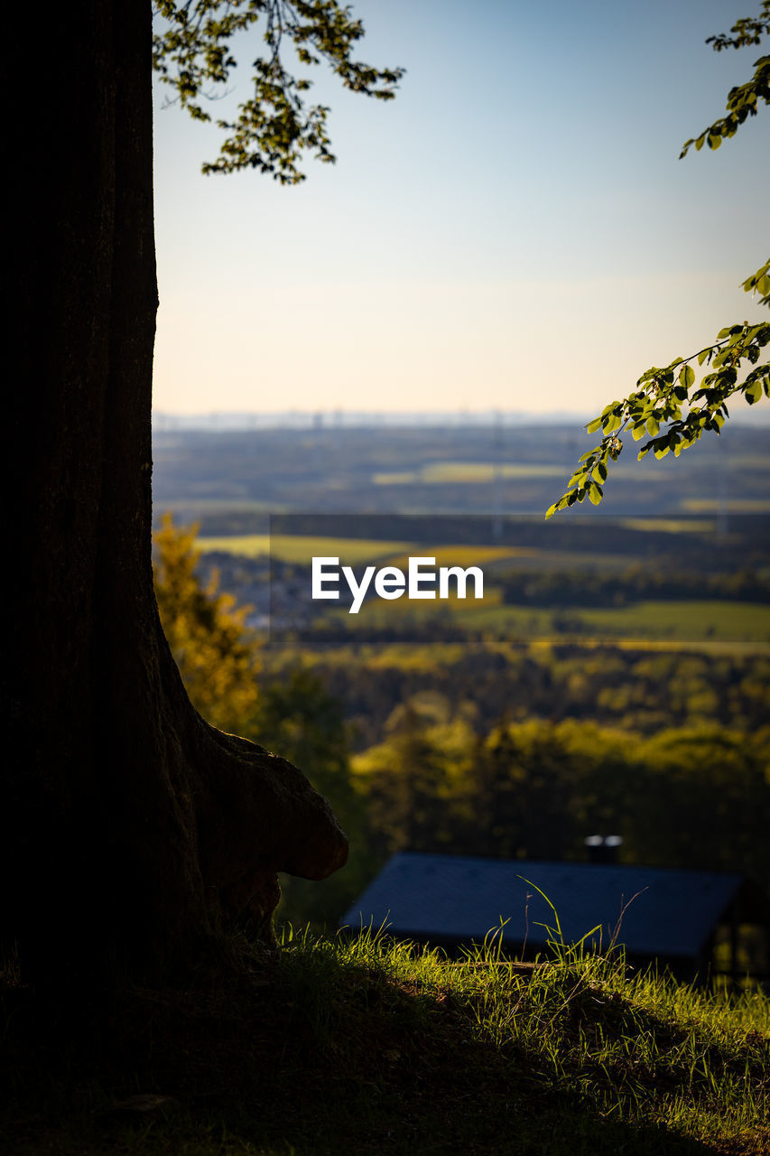 Scenic view of field against sky during sunset