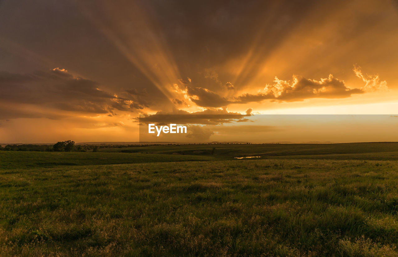 Scenic view of grassy field against cloudy sky