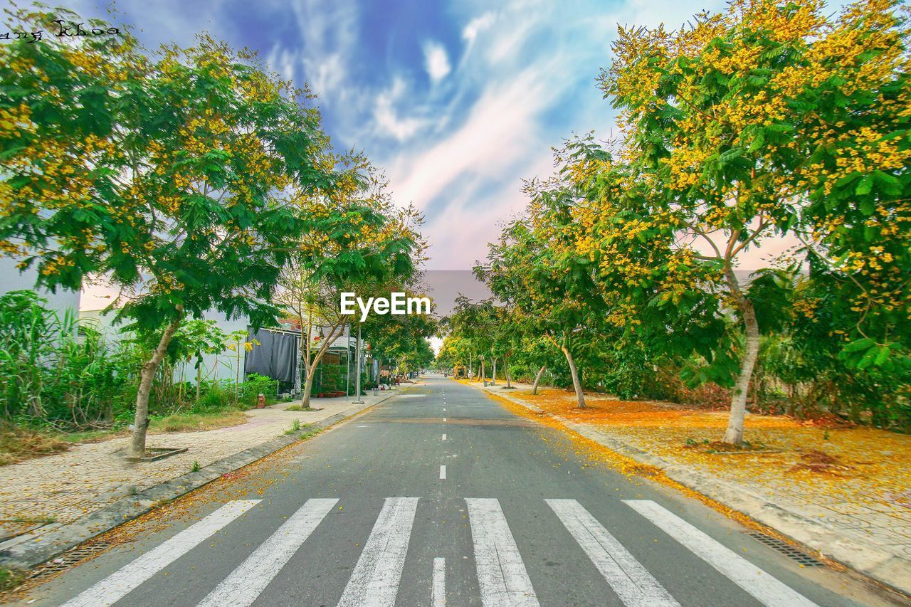 Empty road amidst trees against sky in city