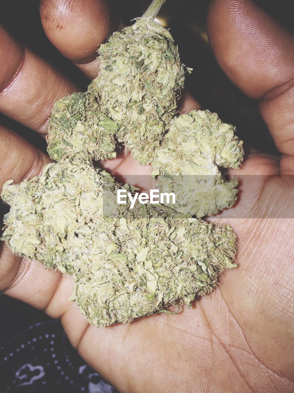 Cropped image person hand holding marijuana