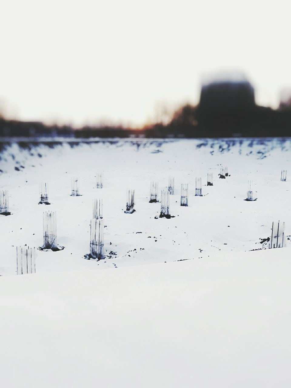 SCENIC VIEW OF SNOW COVERED LANDSCAPE