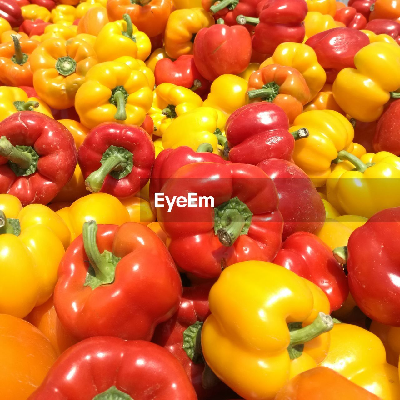 FULL FRAME SHOT OF RED BELL PEPPERS