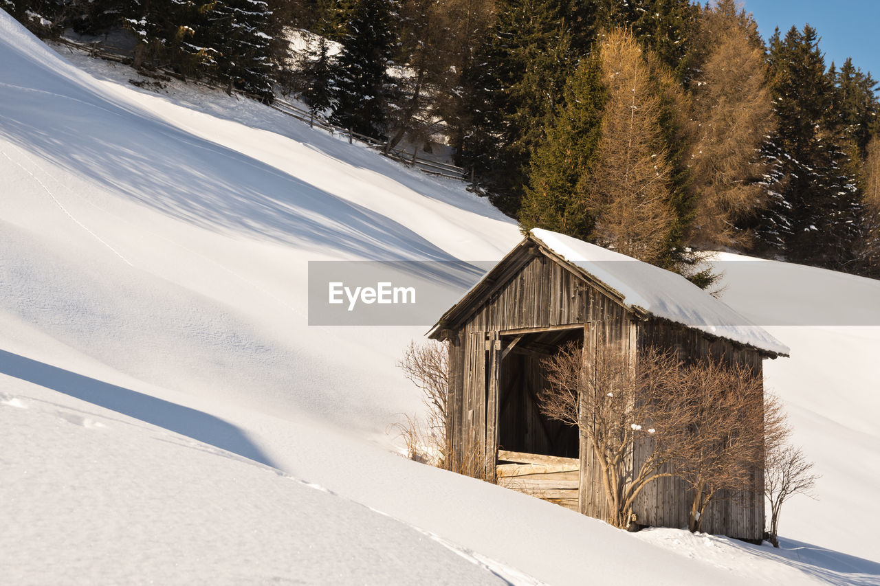 House on snow covered land by trees and building