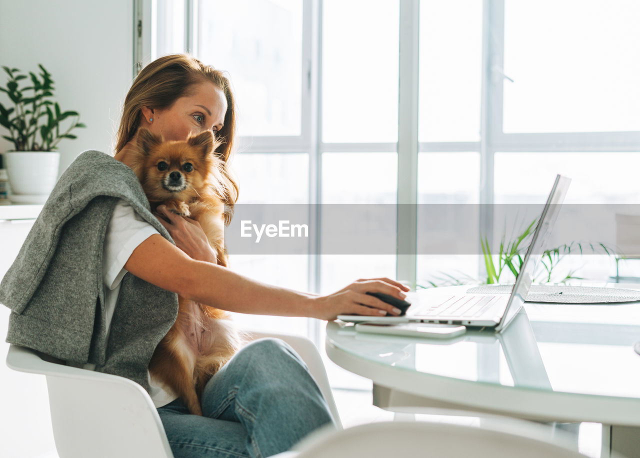 Young adult blonde woman with long hair working on laptop sitting on kitchen with dog at home