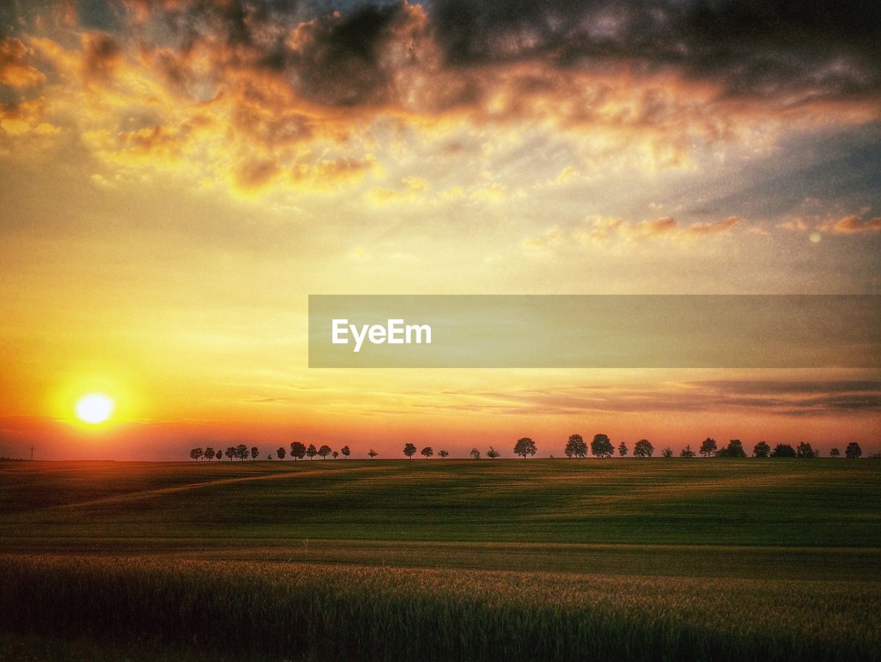 Tranquil view of agricultural landscape at sunset