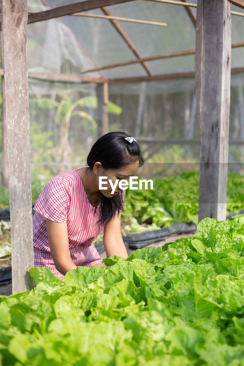 Woman looking at plants