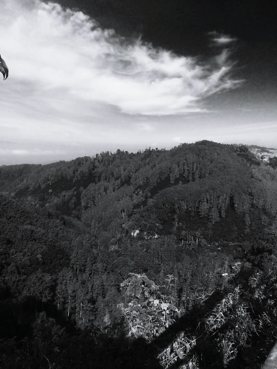 LOW ANGLE VIEW OF LANDSCAPE AGAINST SKY